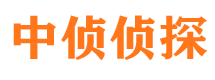 从江市侦探调查公司